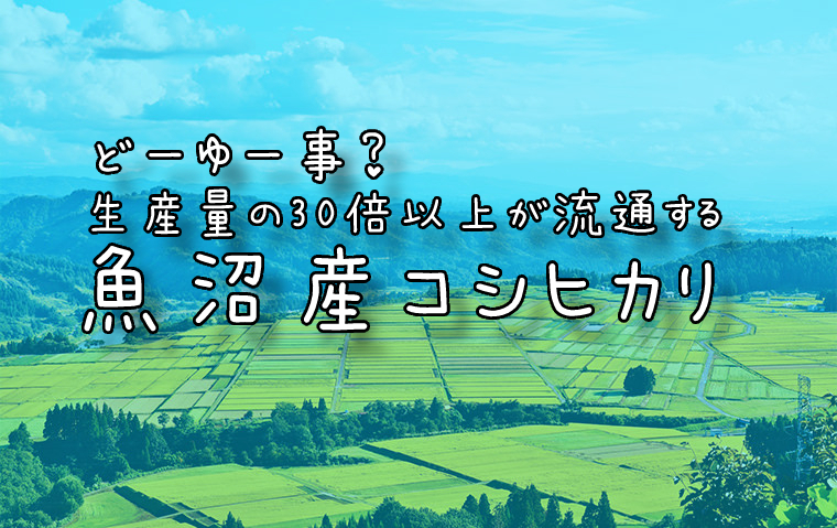 どーゆー事？生産量の30倍以上が流通する魚沼産コシヒカリ