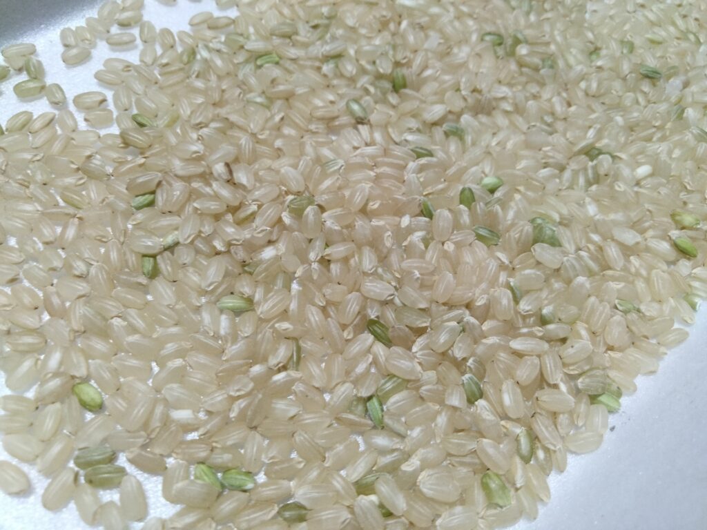 青玄米